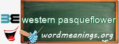 WordMeaning blackboard for western pasqueflower